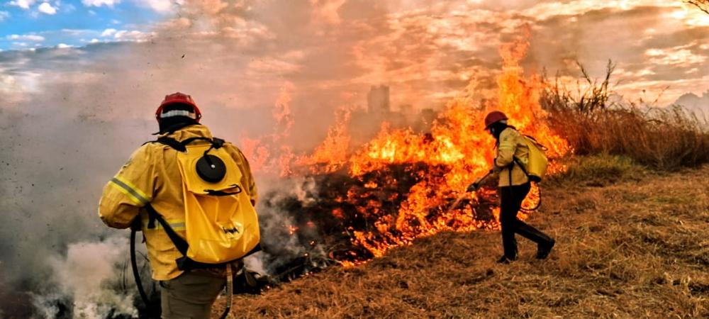 Capa da notícia: Distrito Federal amplia combate a incêndios florestais com inteligência artificial